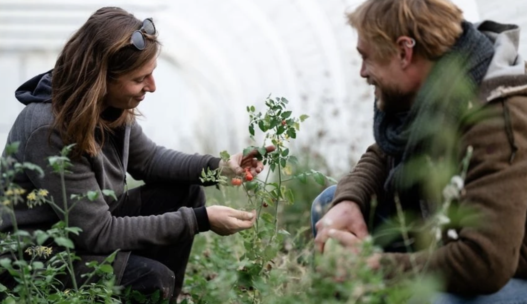 Souveraineté alimentaire